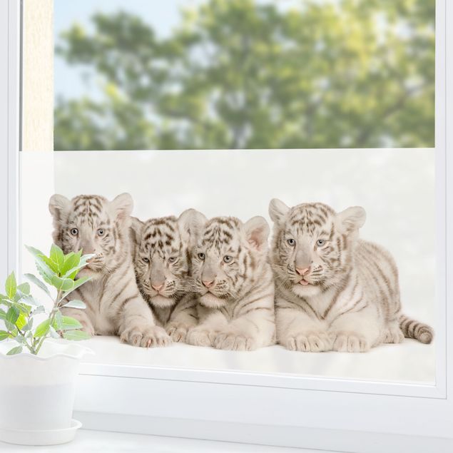 Fensterbilder Tiere Königstigerbabys