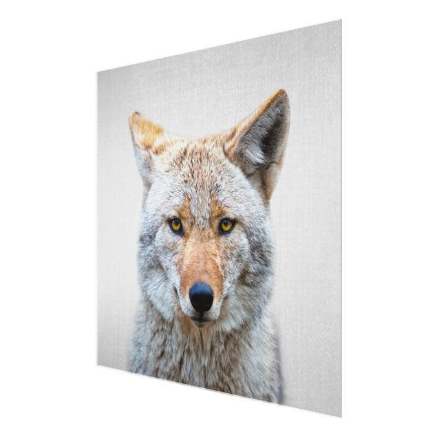 Schöne Wandbilder Kojote Kalle