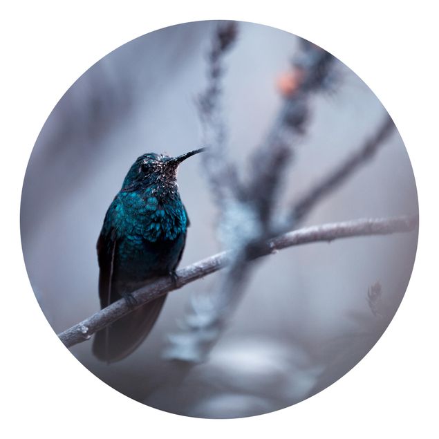 Wandtapete Tiere Kolibri im Winter