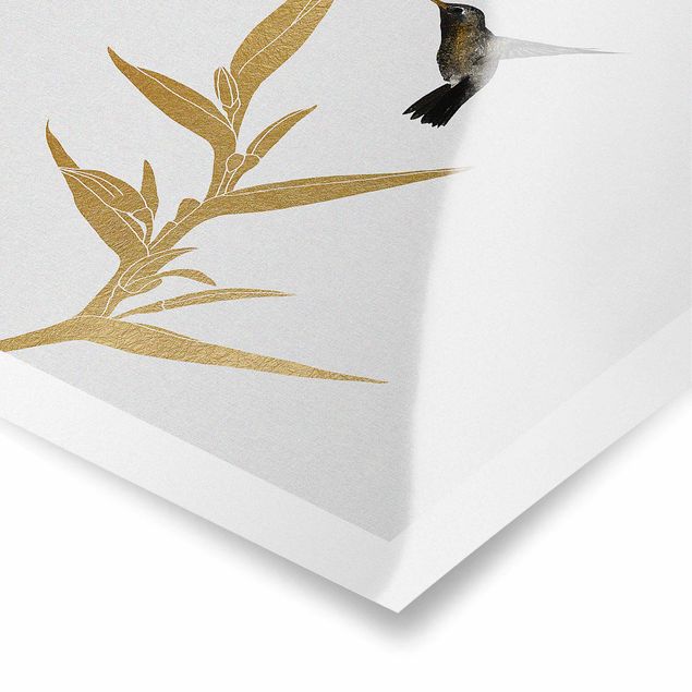 Poster bestellen Kolibri und tropische goldene Blüte II