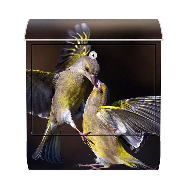 Designer Briefkasten Küssende Kolibris