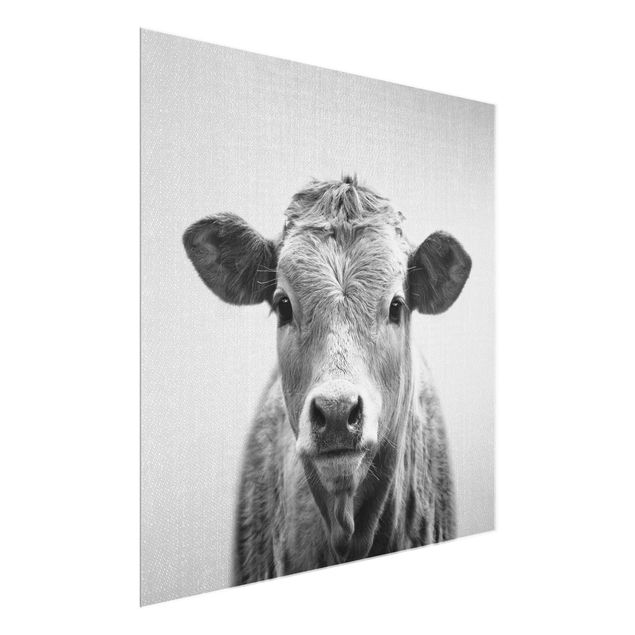 Glasbild Tiere Kuh Kathrin Schwarz Weiß