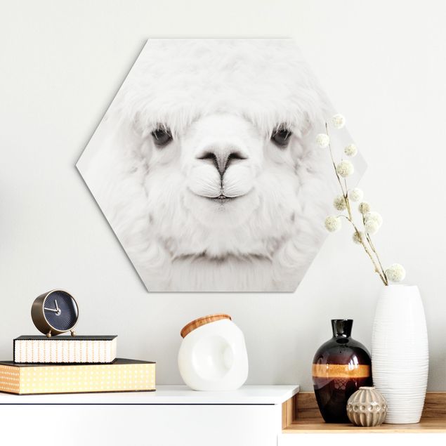 Wandbilder Tiere Lächelndes Alpaka