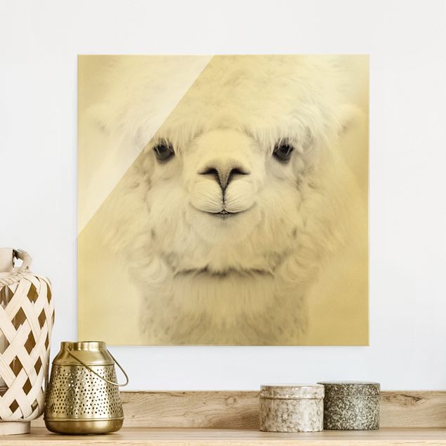 Wandbilder Tiere Lächelndes Alpaka