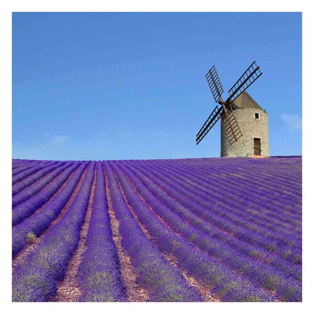 Lavendelduft in der Provence Fototapete | Bilderwelten