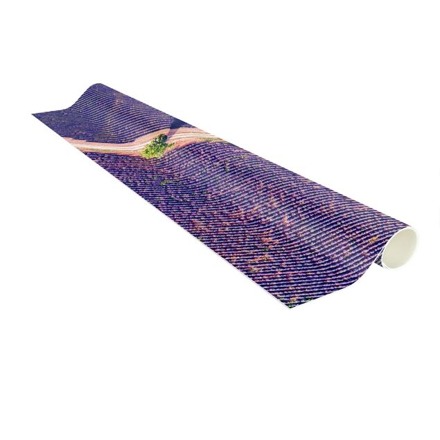 Teppich violett Lavendelfeld Draufsicht