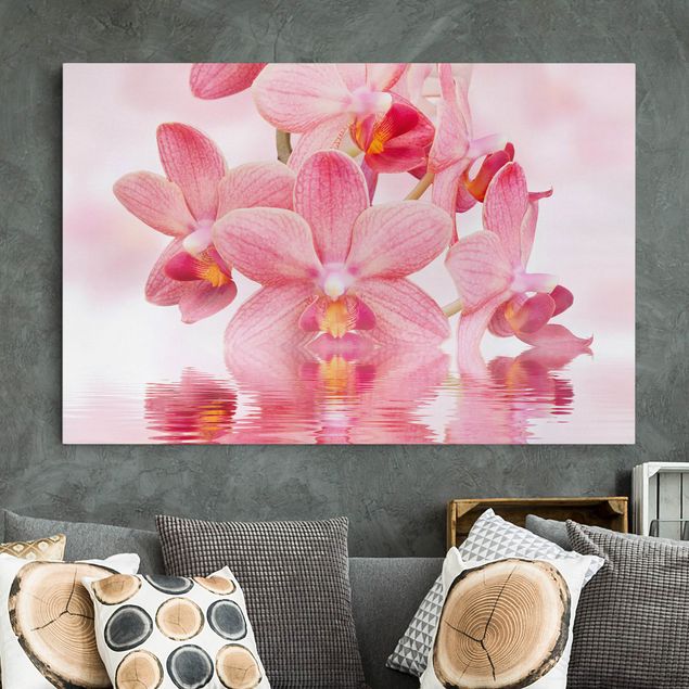 Leinwandbild - Rosa Orchideen auf Wasser - Quer 3:2