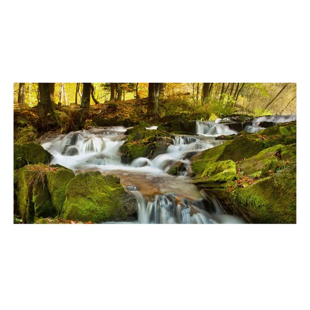 Leinwandbild - Wasserfall herbstlicher Wald - Quer 2:1