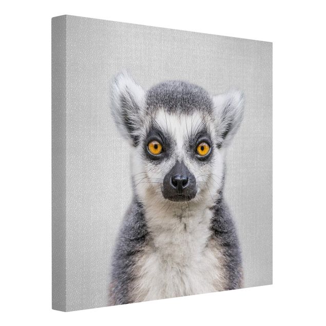 Leinwandbild - Lemur Ludwig - Quadrat 1:1