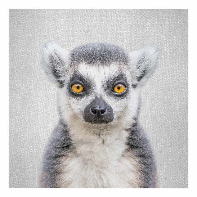 Leinwandbild - Lemur Ludwig - Quadrat 1:1