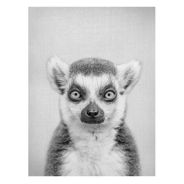 Leinwandbilder Tier Lemur Ludwig Schwarz Weiß