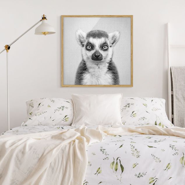 Bild mit Rahmen - - Lemur Weiß - Ludwig 1:1 Schwarz Quadrat