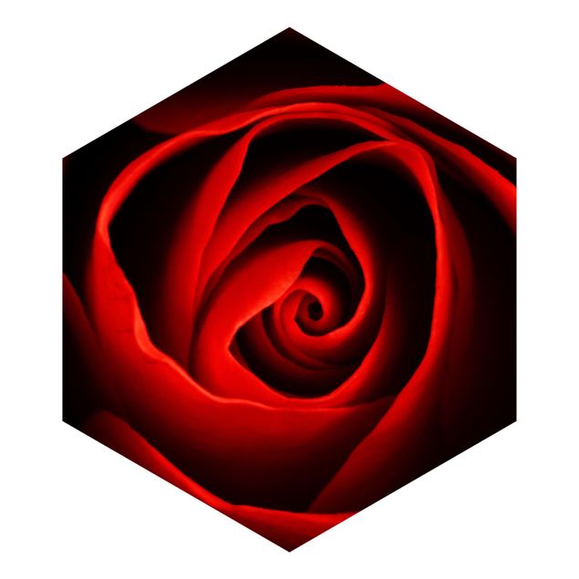 Wandtapete Design Liebliche Rose