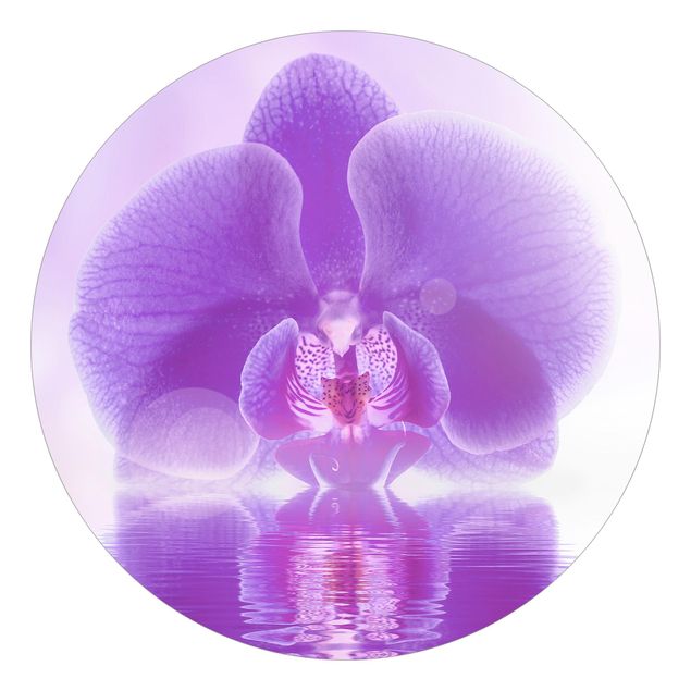 Fototapete modern Lila Orchidee auf Wasser