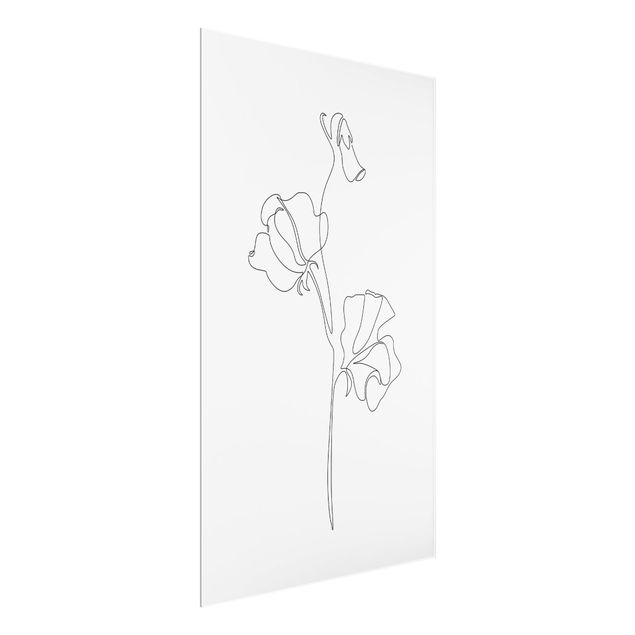 Bilder für die Wand Line Art Blumen - Erbsenpflanze