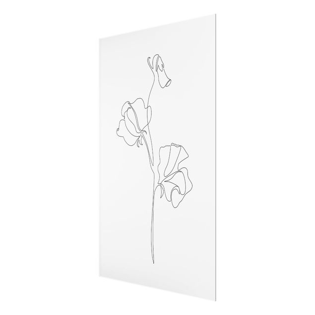 Glasbild - Line Art Blumen - Erbsenpflanze - Hochformat