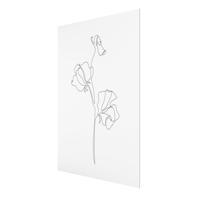 Glasbild - Line Art Blumen - Erbsenpflanze - Hochformat