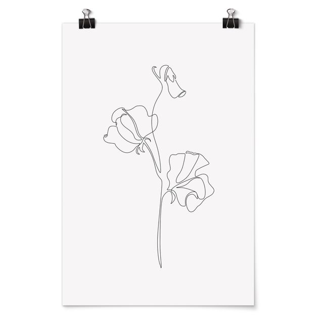 Poster bestellen Line Art Blumen - Erbsenpflanze