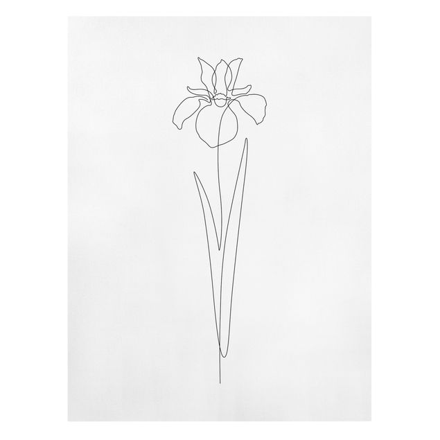 Wandbilder Line Art Blumen - Iris