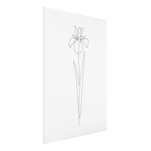 Bilder für die Wand Line Art Blumen - Iris