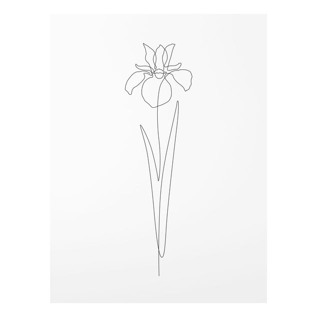 Glas Wandbilder Line Art Blumen - Iris