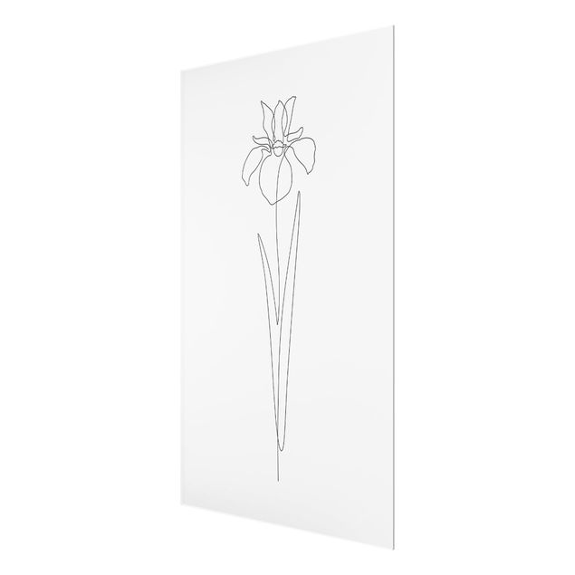 Glasbild - Line Art Blumen - Iris - Hochformat