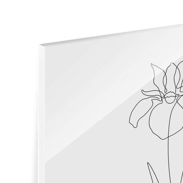 Glasbild - Line Art Blumen - Iris - Hochformat