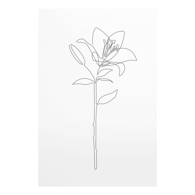 Bilder auf Glas Line Art Blumen - Lilie