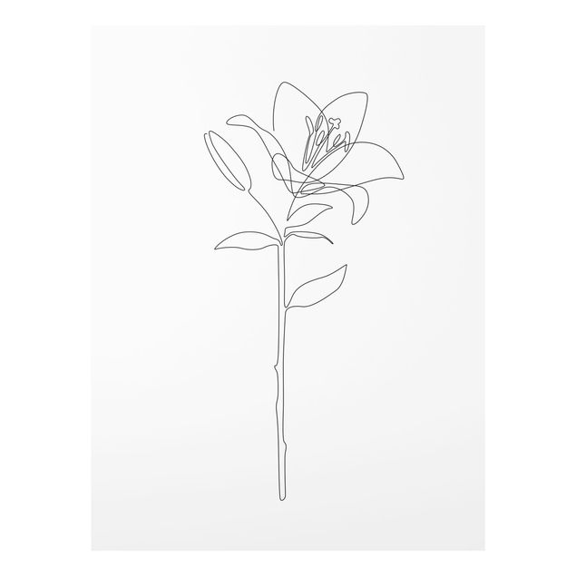 Bilder auf Glas Line Art Blumen - Lilie