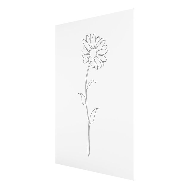 Glasbild - Line Art Blumen - Margerite - Hochformat