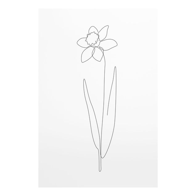 Bilder auf Glas Line Art Blumen - Narzisse