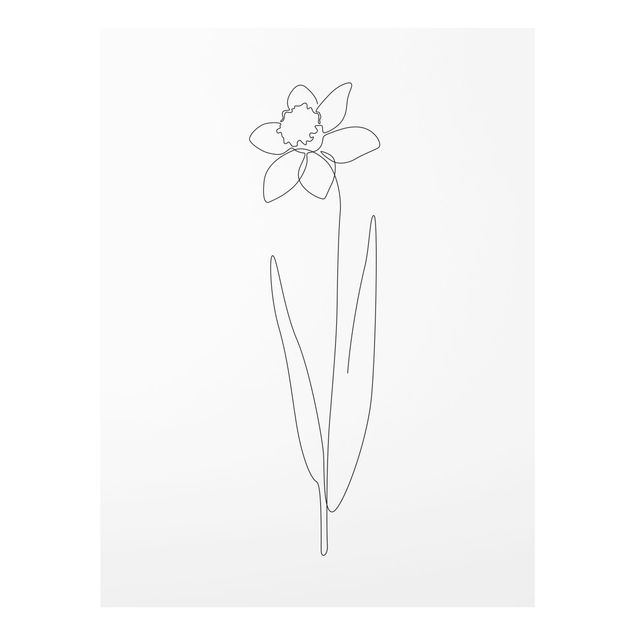Bilder auf Glas Line Art Blumen - Narzisse