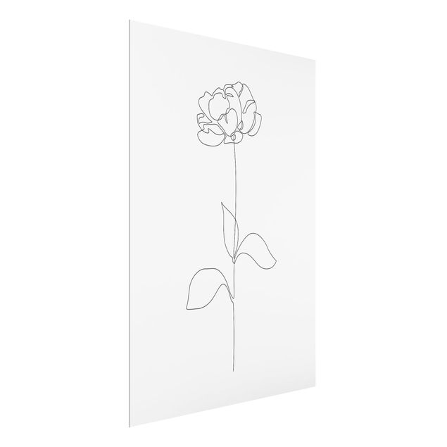 Wandbilder Line Art Blumen - Pfingstrose
