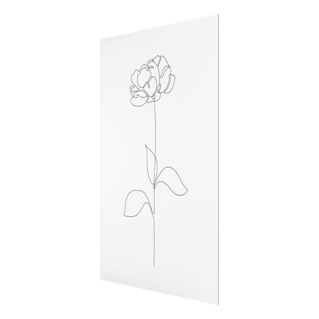 Glasbild - Line Art Blumen - Pfingstrose - Hochformat
