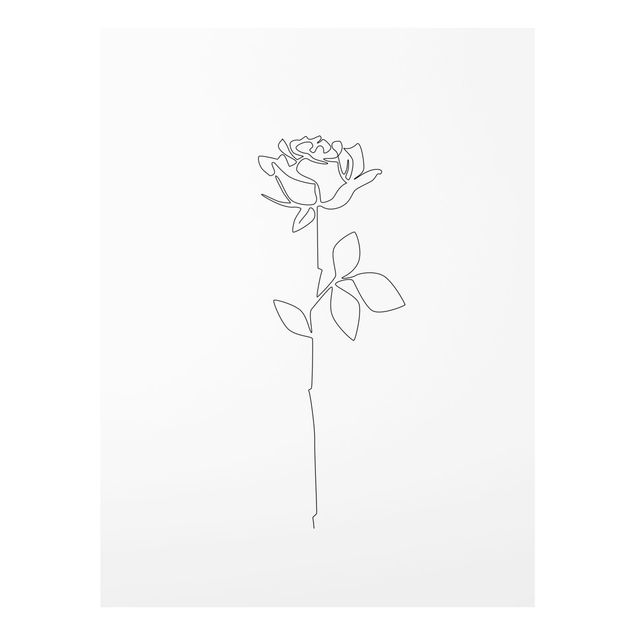 Glas Wandbilder Line Art Blumen - Rose