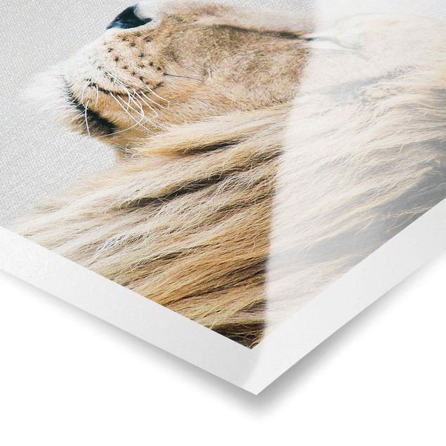 Poster kaufen Löwe Leopold