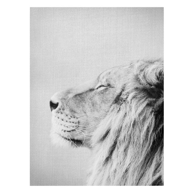 Tierbilder auf Leinwand Löwe Leopold Schwarz Weiß