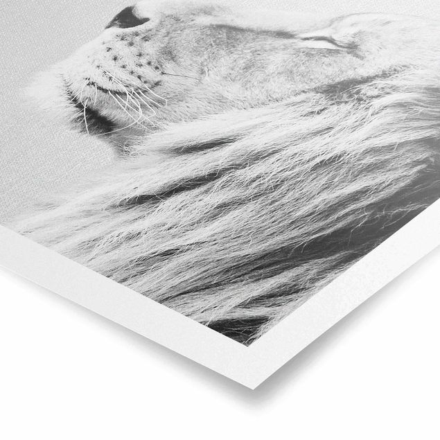 Bilder für die Wand Löwe Leopold Schwarz Weiß