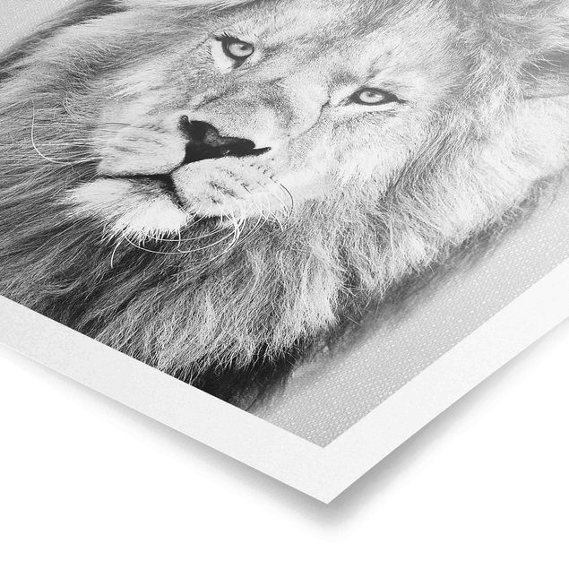 Bilder für die Wand Löwe Linus Schwarz Weiß