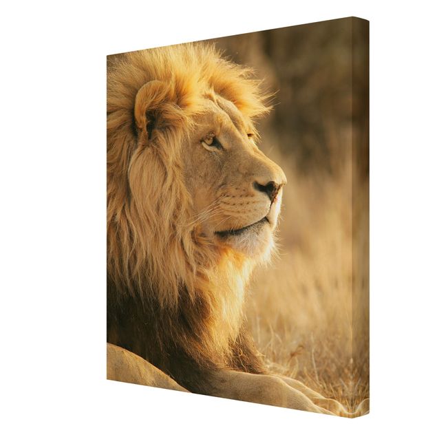 Tierbilder auf Leinwand Löwenkönig
