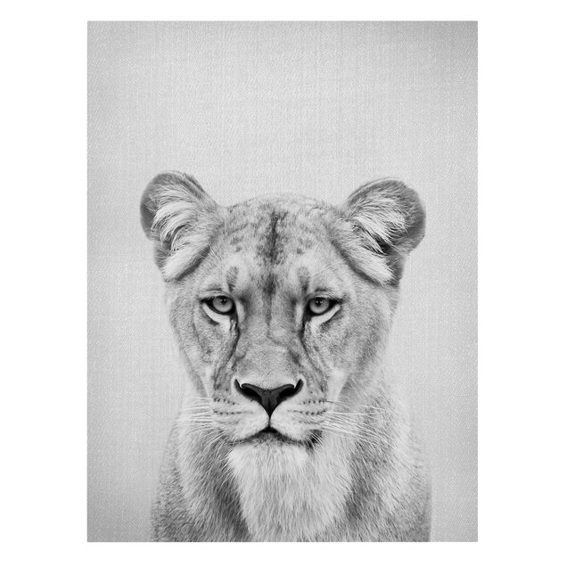 Tierbilder auf Leinwand Löwin Lisa Schwarz Weiß