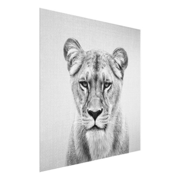 Glasbilder Tiere Löwin Lisa Schwarz Weiß