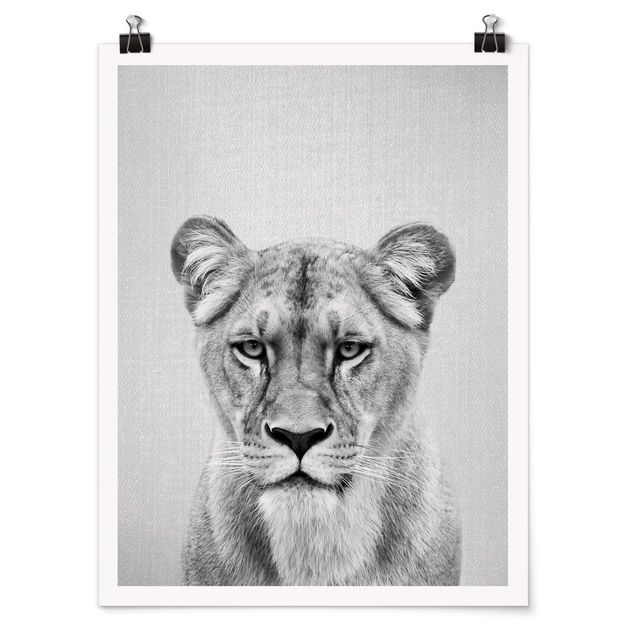 Tiere Poster Löwin Lisa Schwarz Weiß