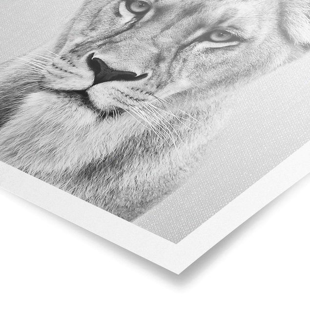 Schöne Wandbilder Löwin Lisa Schwarz Weiß