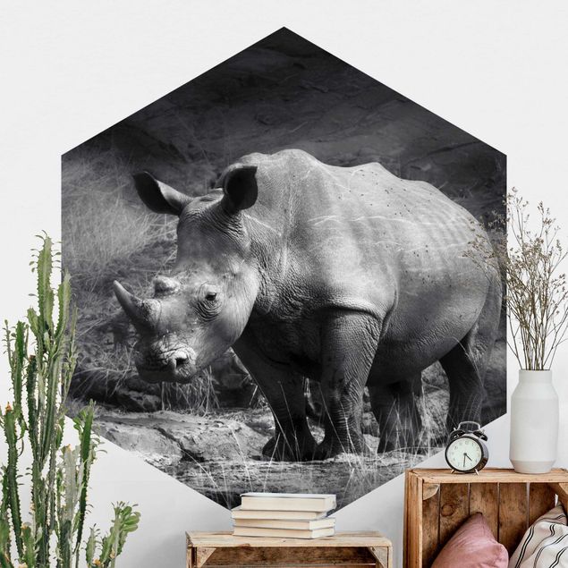 Afrika Tapete Lonesome Rhinoceros