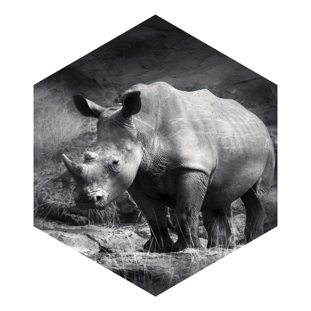Schöne Fototapete Lonesome Rhinoceros