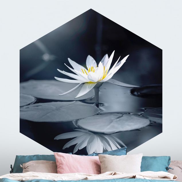 Moderne Tapeten Lotus Spiegelung im Wasser