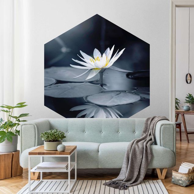 Fototapete Design Lotus Spiegelung im Wasser