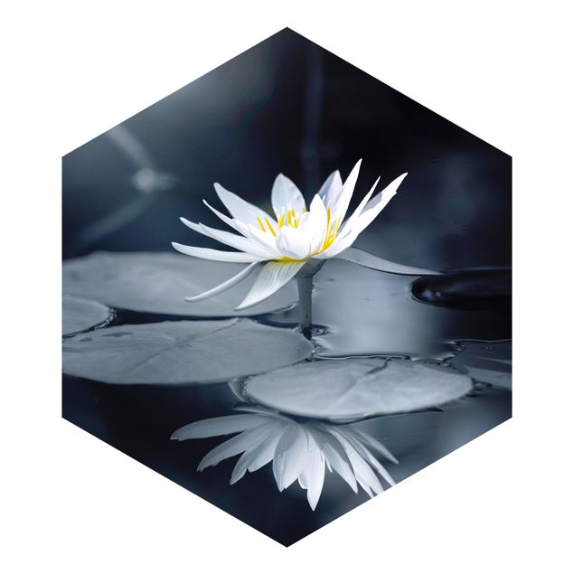 Hexagon Mustertapete selbstklebend - Lotus Spiegelung im Wasser