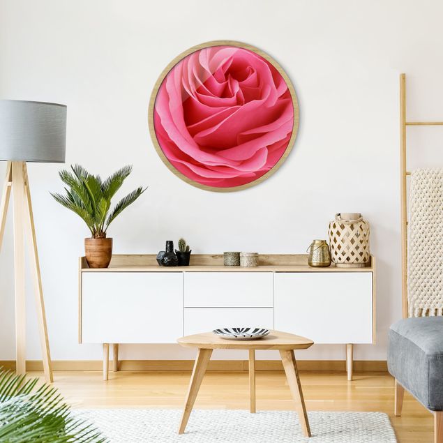 Bilder mit Rahmen Blumen Lustful Pink Rose